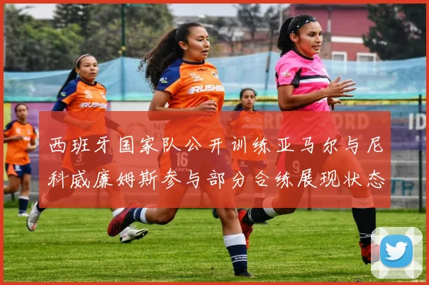 西班牙国家队公开训练亚马尔与尼科威廉姆斯参与部分合练展现状态
